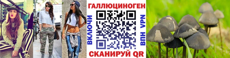 где можно купить   hydra рабочий сайт  Галлюциногенные грибы прущие грибы  Дрезна 